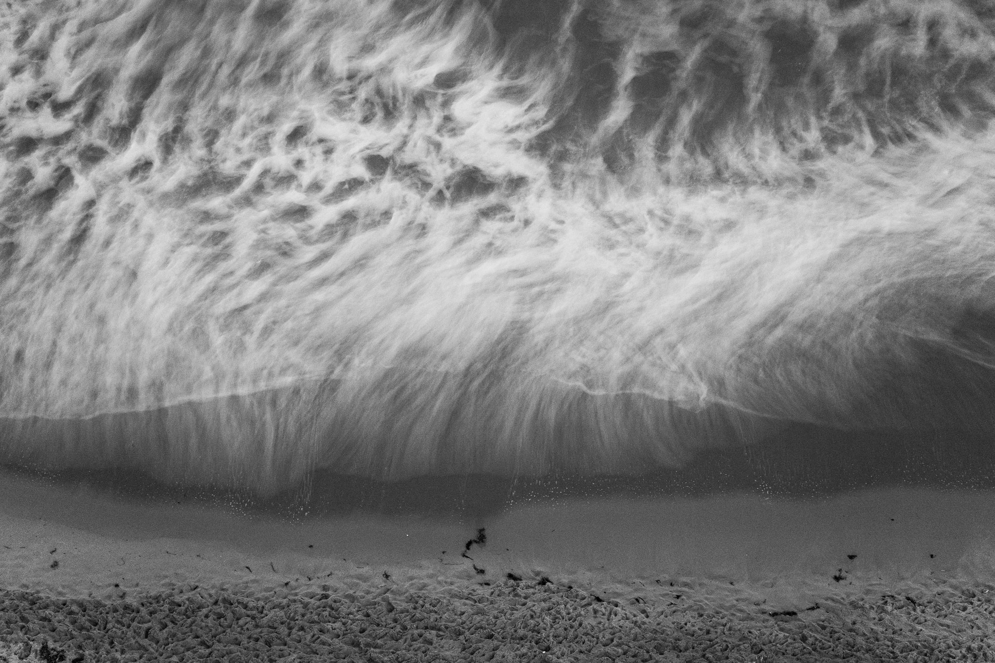 Ocean