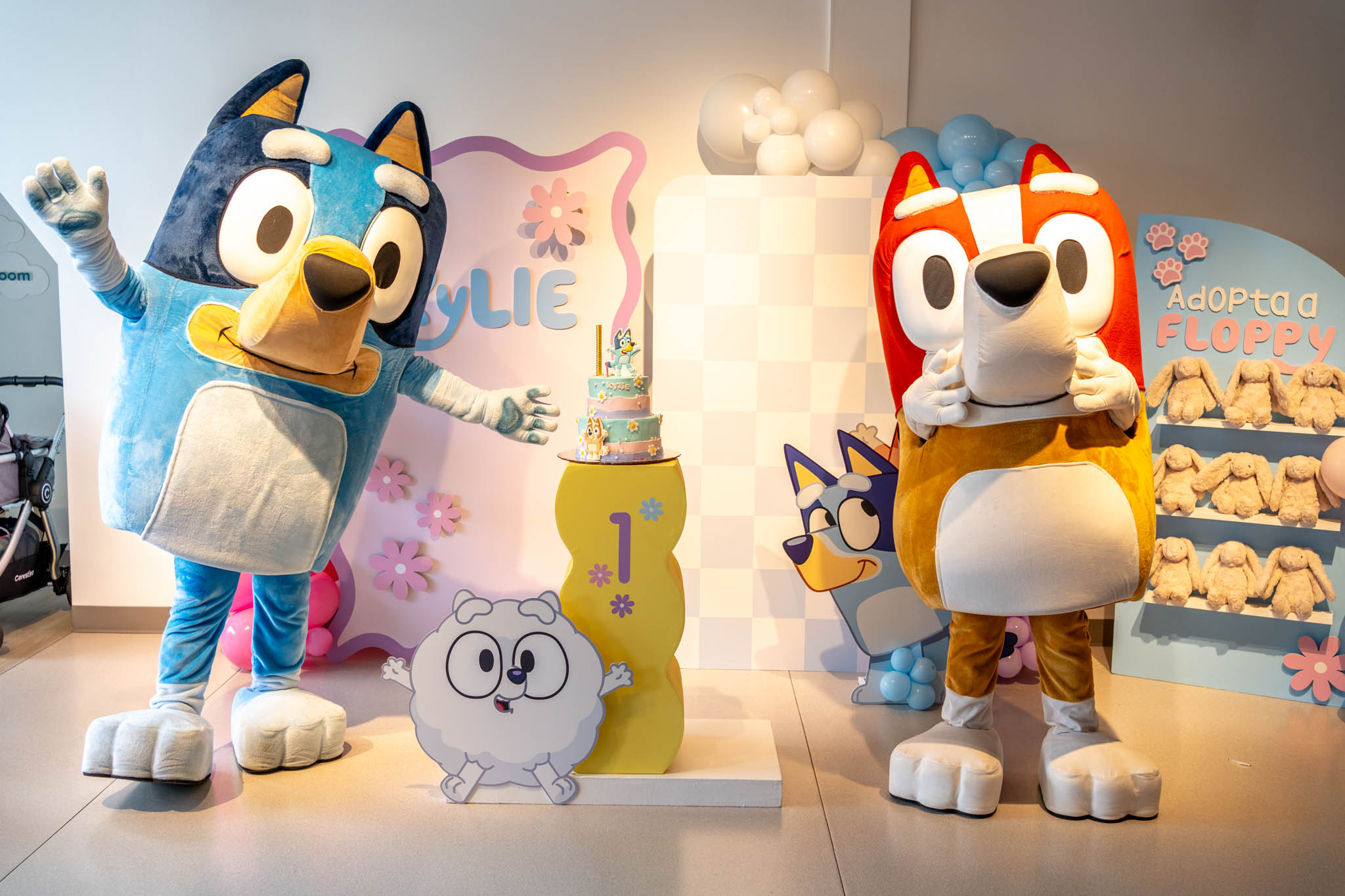 Fotografía profesional para cumpleaños infantiles por German Ostaszynski.