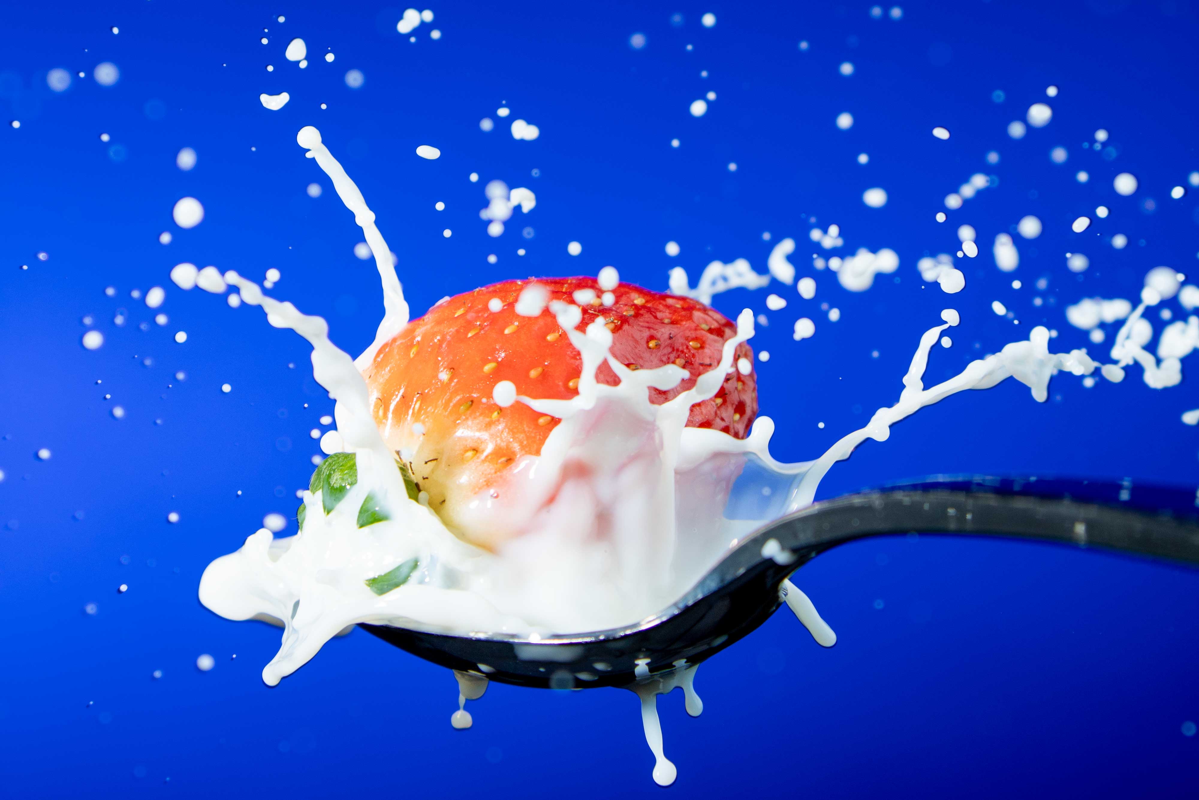 Fresa en Leche